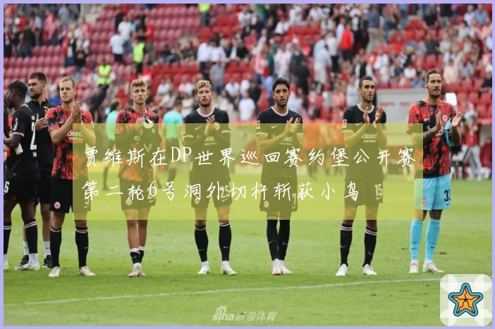 贾维斯在DP世界巡回赛约堡公开赛第二轮6号洞外切杆斩获小鸟